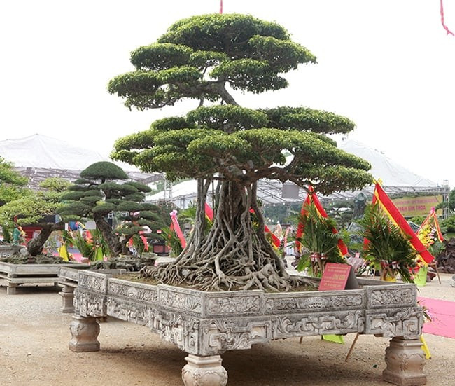 Ngay sau đó, có người trả 15 tỷ nhưng ông không bán. Nếu tính ra, 15 tỷ đồng thời điểm đó ngang với khoảng 20 lô đất mặt đường lớn. Ảnh: Dân Việt