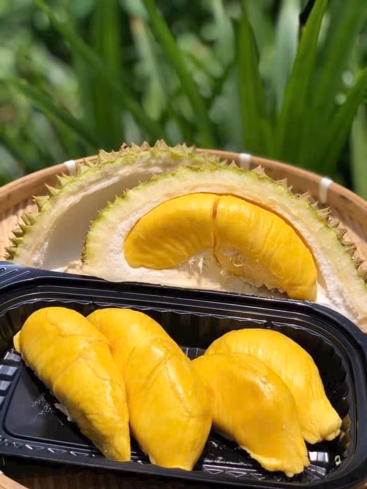 Cuối năm 2023, sầu riêng Musang King gây xôn xao khi được bán với giá cao ngất ngưởng 185.000 RM (gần 1 tỷ đồng) tại một sự kiện gây quỹ ở quận Raub, Pahang (Malaysia). Ảnh: Facebook