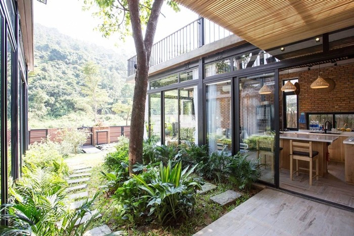 Khu vườn đóng vai trò là không gian trung gian giữa hai ngôi nhà cũng như lối vào chính. Ảnh: Tô Hữu Dũng