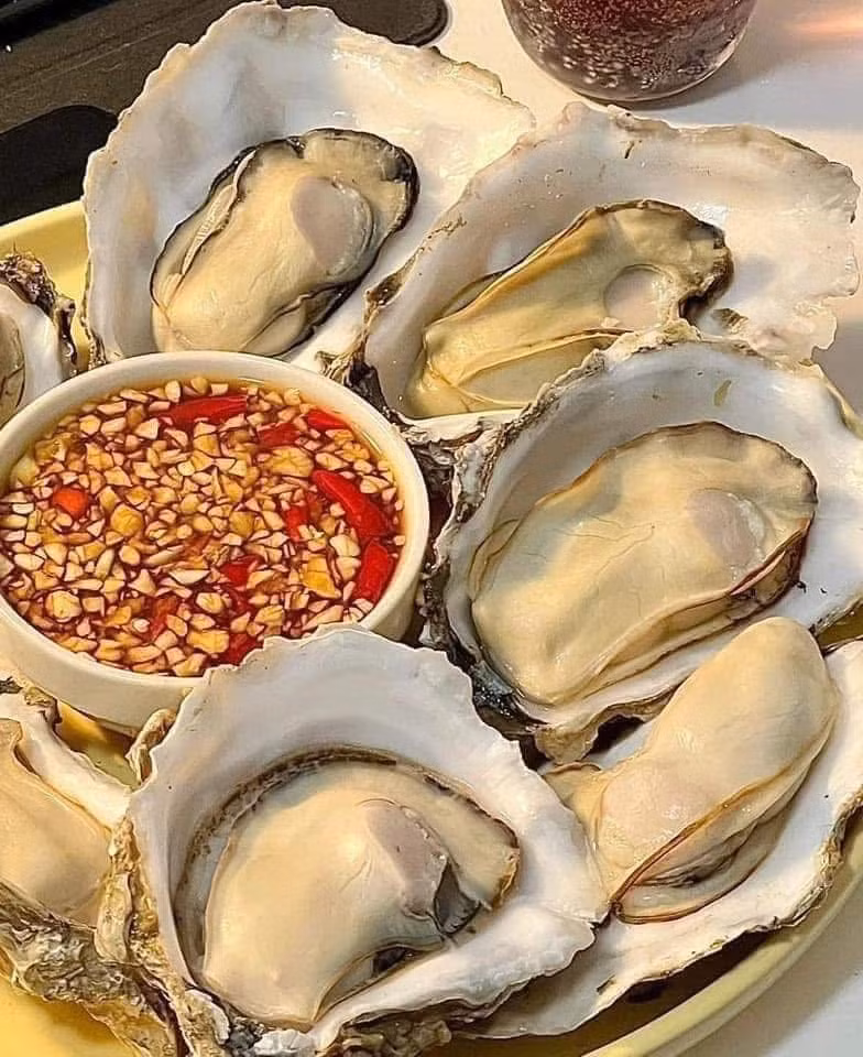 Loại hàu này có vỏ vàng nhạt, ruột to, được người bán quảng cáo "10 con như một". Ảnh: Facebook