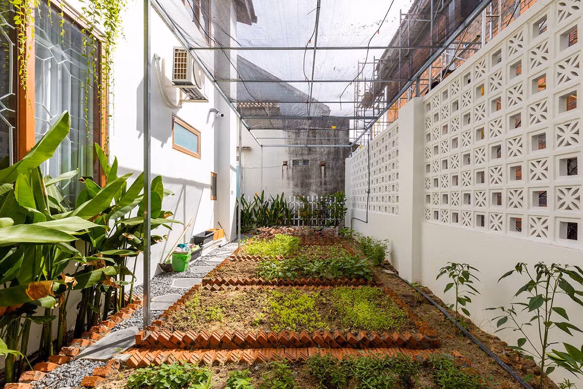 Phía sau là khoảng vườn 4m trồng rau sạch. Ảnh: Khánh Nguyễn