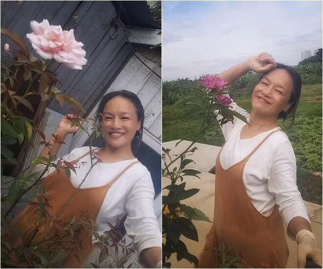 Bên cạnh cúc còn có hoa hồng khoe sắc. Ảnh: FB Oanh Le Tu