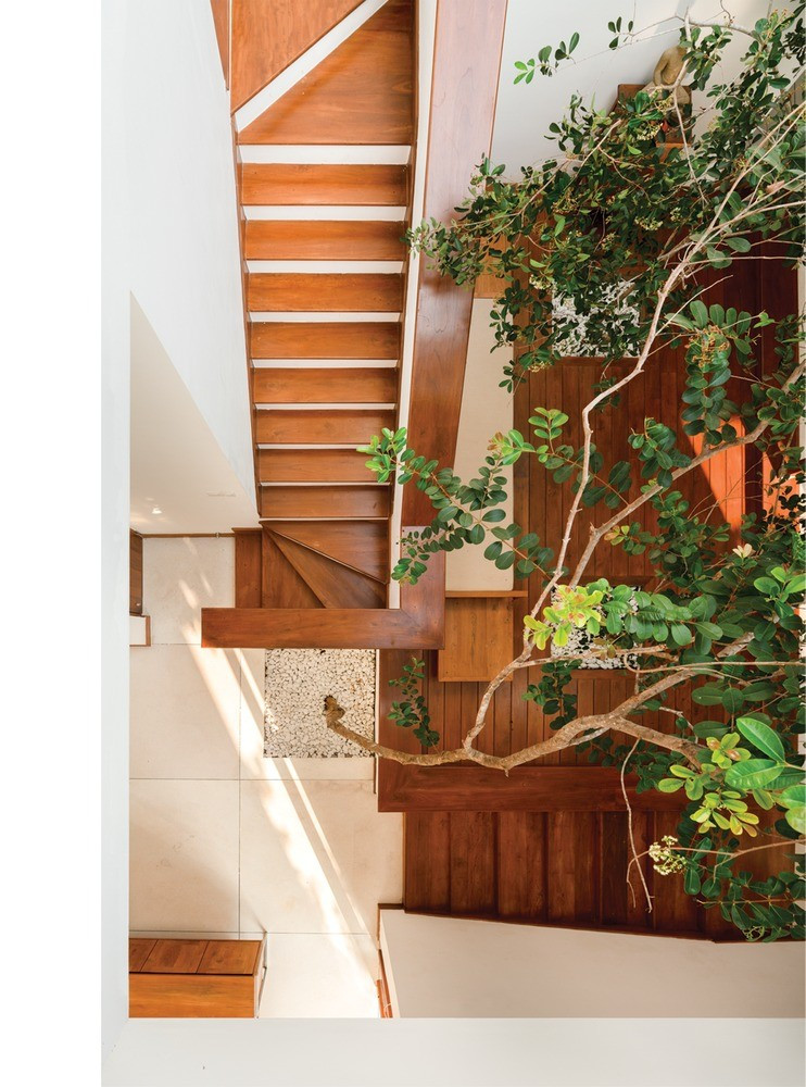 Cầu thang ốp gỗ bố trí dưới khoảng thông tầng. Ảnh: Dilanka Bandara