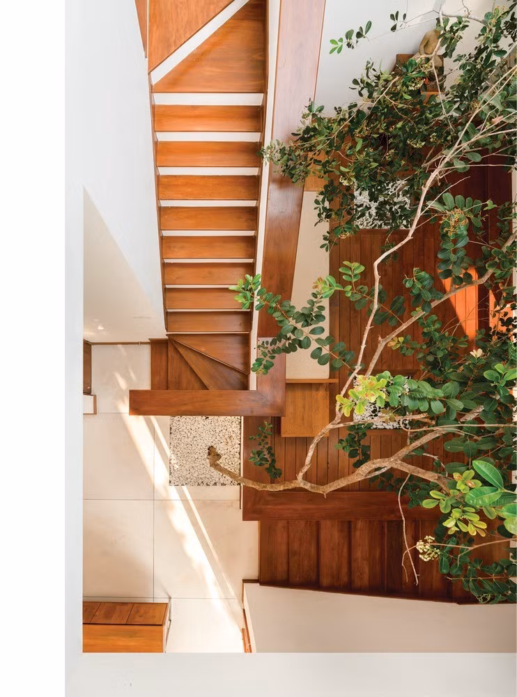 Cầu thang ốp gỗ bố trí dưới khoảng thông tầng. Ảnh: Dilanka Bandara