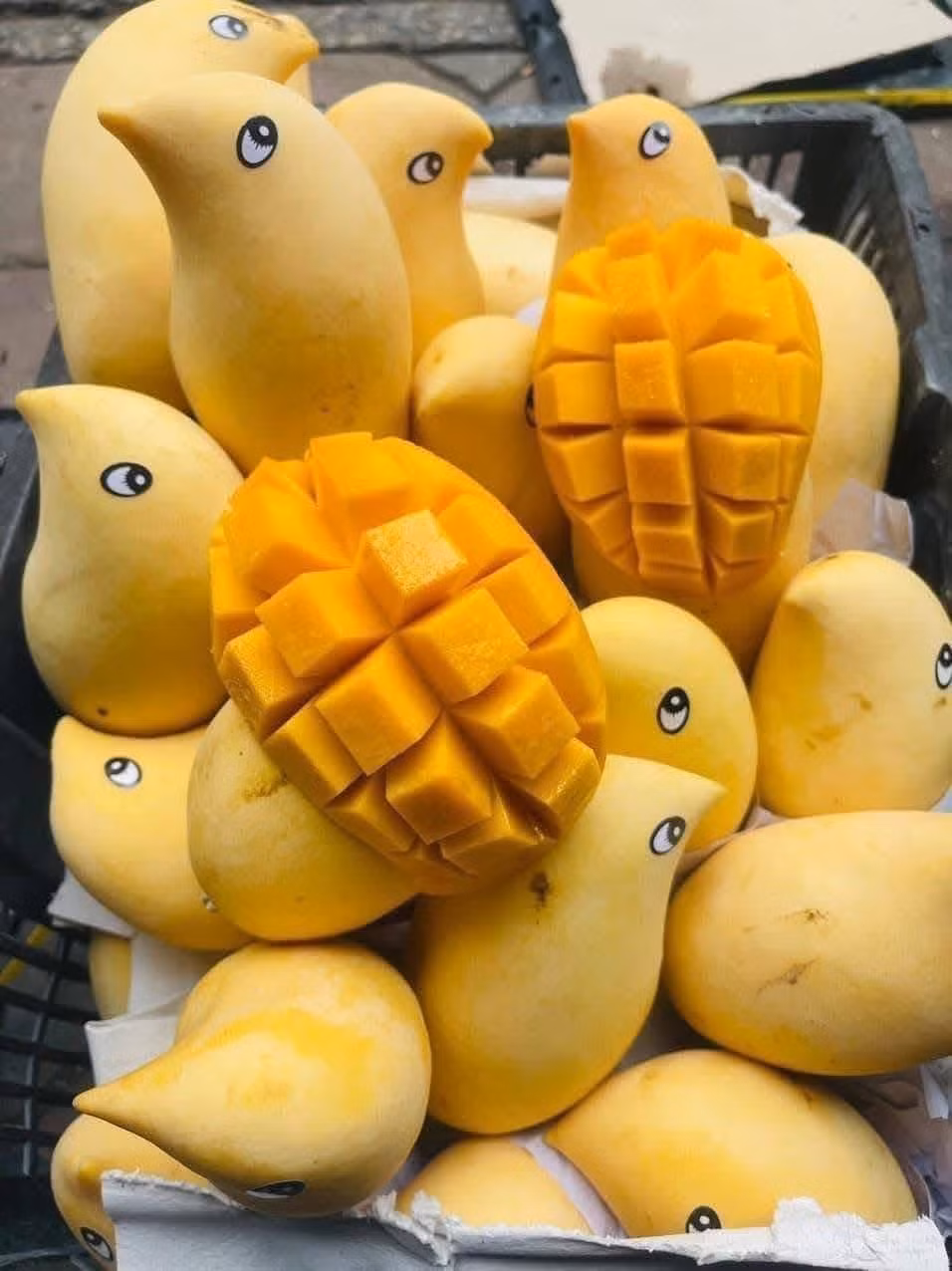 Một số người bán quảng cáo giống xoài này trồng ở miền Tây nước ta, có người nói xoài Thái Lan. Ảnh: Facebook