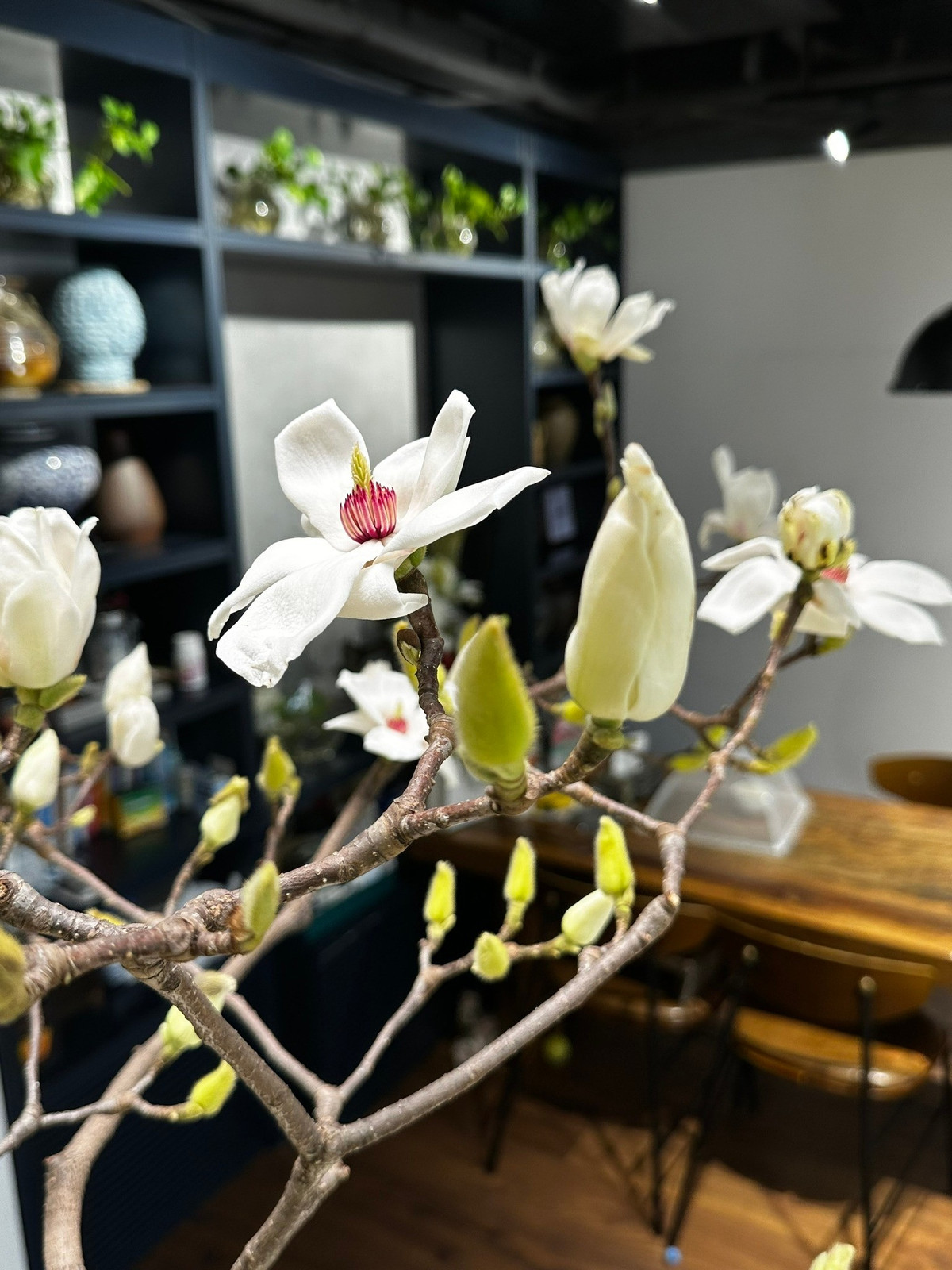 Chơi hoa mộc lan cũng trở thành trào lưu mới của nhiều chị em. Ảnh: Facebook