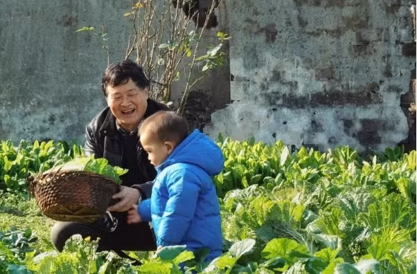 Phía ngoài căn nhà là vườn rau xanh mướt. Ảnh: Zhihu