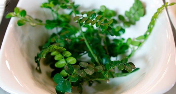 View - Cây dại mọc hoang "lên đời" thành đặc sản dân phố săn lùng, 800.000 đồng/kg | Báo Tri thức và Cuộc sống - TIN TỨC PHỔ BIẾN KIẾN THỨC 24H