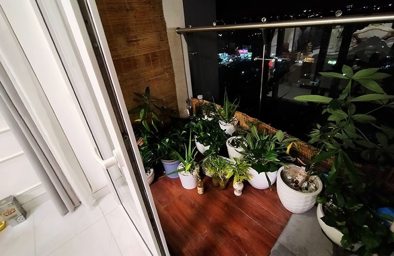 Tại khu vực ban công, Phi Thanh Vân đặt nhiều chậu cây xanh. Ảnh: FBNV