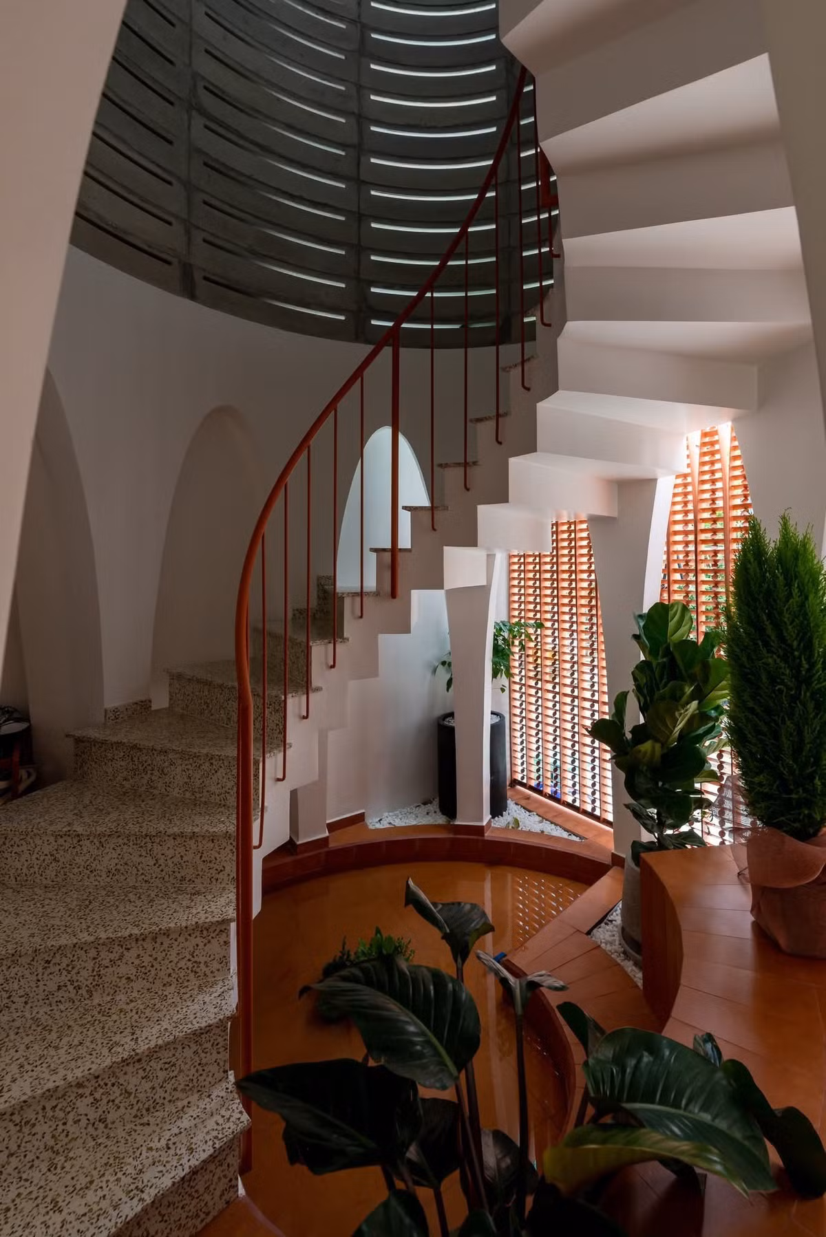 Tầng trệt được điểm xuyết bởi một khu vườn nhỏ và mặt nước dịu mát, giúp không khí dễ chịu ngay khi bước vào nhà. Ảnh: Lon ton studio