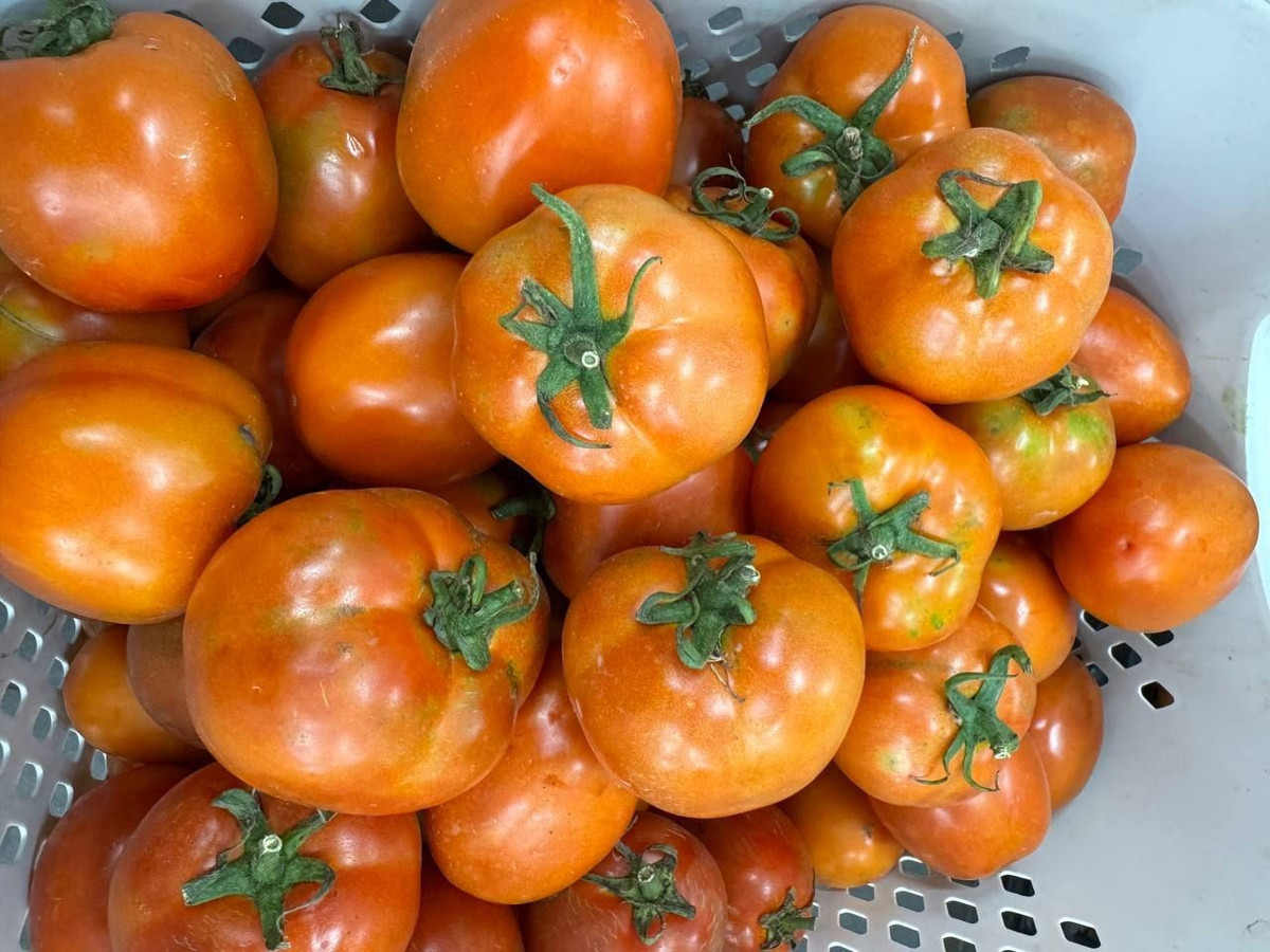 Nguồn cung khan hiếm trong khi nhu cầu tiêu thụ ổn định, đặc biệt vào thời điểm cuối năm, đã đẩy giá loại quả này lên cao. Ảnh: Facebook