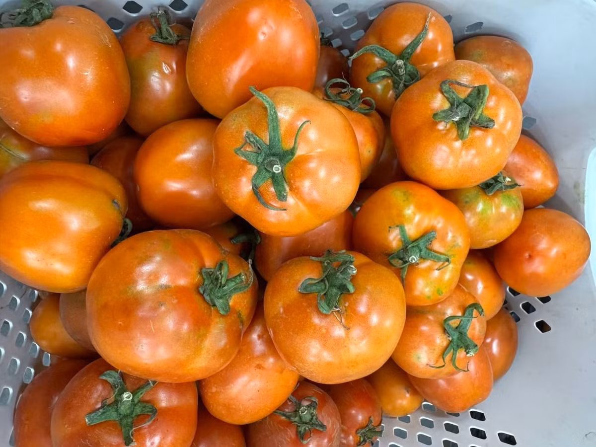 Nguồn cung khan hiếm trong khi nhu cầu tiêu thụ ổn định, đặc biệt vào thời điểm cuối năm, đã đẩy giá loại quả này lên cao. Ảnh: Facebook