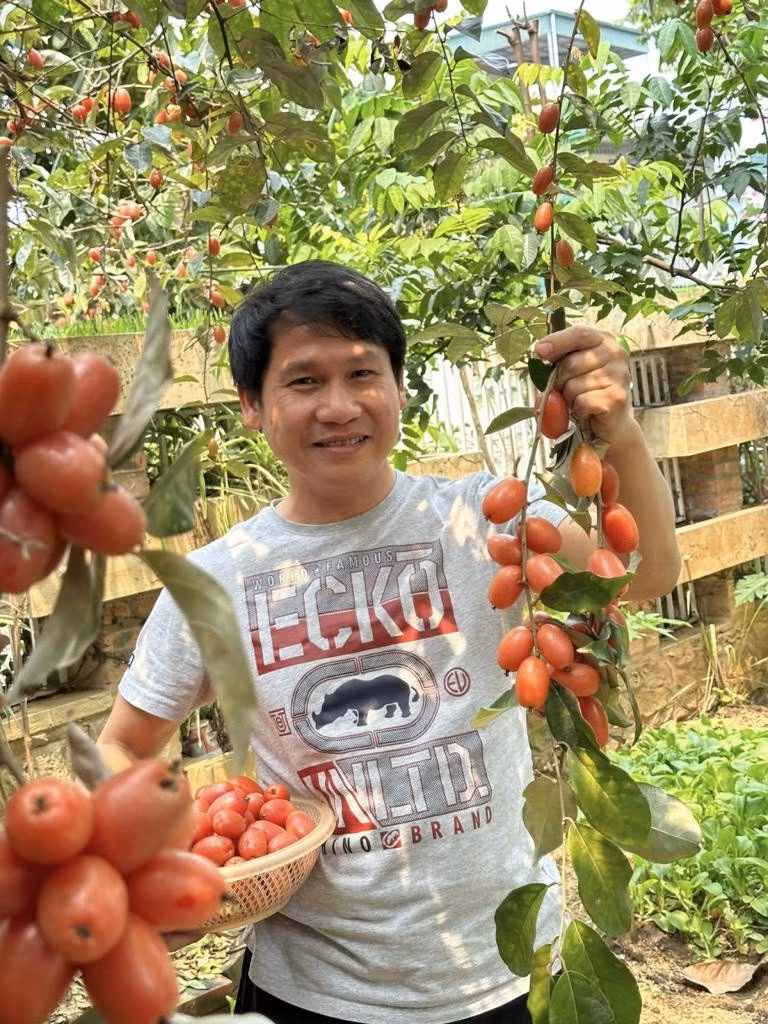 Tại đây, Trọng Tấn tận hưởng những khoảnh khắc yên bình với việc nuôi gà, trồng rau, và thu hoạch trái cây. Ảnh: FBNV