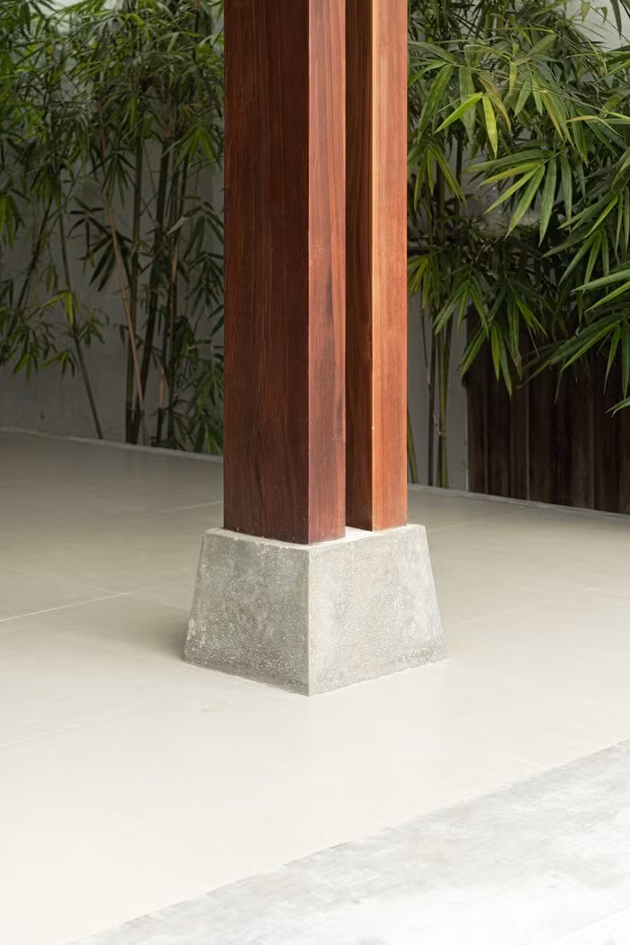 Hàng tre xanh bình dị và gần gũi. Ảnh: Trọng Tín, Minh Anh