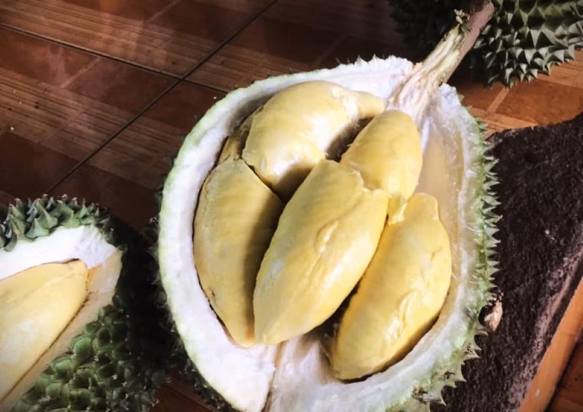 Đắk Lắk - thủ phủ sầu riêng của cả nước bắt đầu vào vụ thu hoạch. Tuy nhiên, giá các loại sầu riêng không cao như năm ngoái, bao gồm cả loại Musang King. Ảnh: Tiền phong