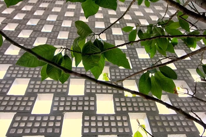 Ở bất kỳ góc nào cũng có sự hiện diện của cây xanh. Ảnh: My Anh Nguyen