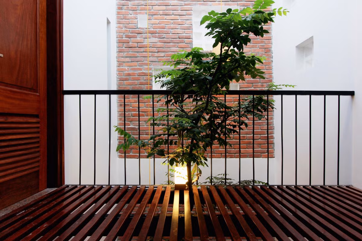 Cây xanh được bố trí khéo léo dưới khoảng giếng trời. Ảnh: My Anh Nguyen