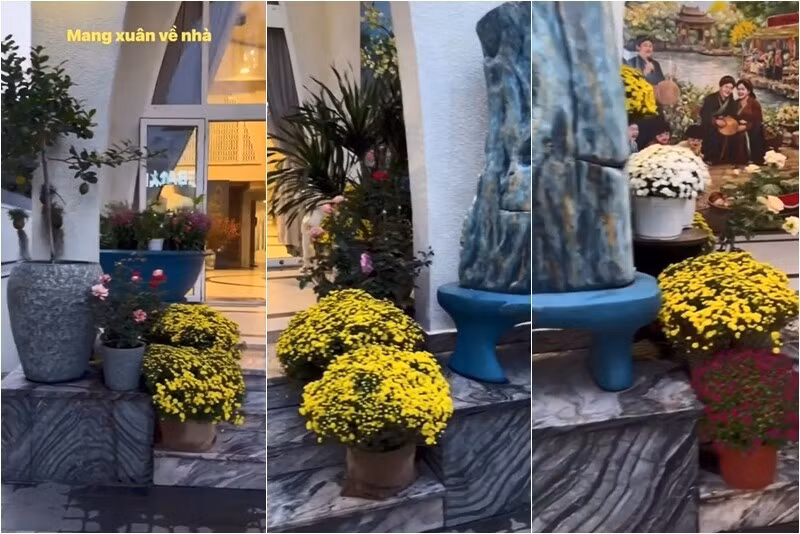 Sắc vàng rực rỡ của cúc mâm xôi cho thềm nhà thêm xinh. Ảnh: FB Giang My Nguyen