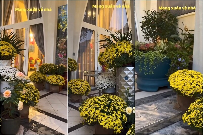 Những chậu hoa rực rỡ mang mùa xuân về nhà một cách trọn vẹn nhất. Ảnh: FB Giang My Nguyen