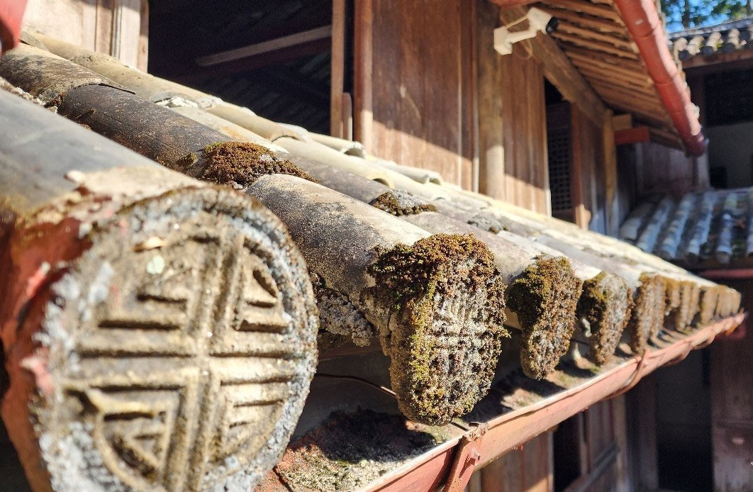 View - Điều đặc biệt bên trong dinh thự vua Mèo 150 tỷ | Báo Tri thức và Cuộc sống - TIN TỨC PHỔ BIẾN KIẾN THỨC 24H