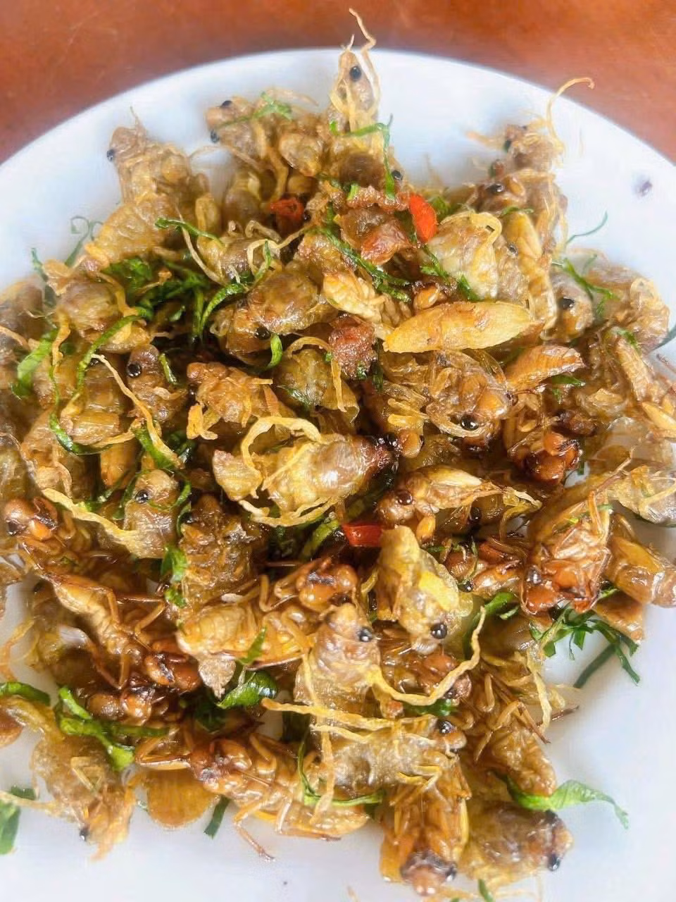 Tuy nhiên, do có thời gian dài sống trong lòng đất nên trong ve sầu có vi sinh vật ký sinh, có thể gây ngộ độc. Ảnh: Facebook