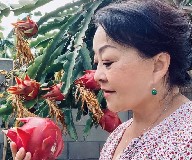 Trong đó, vợ chồng nữ danh ca dành 500m2 trồng cây và hoa. Ảnh: FBNV