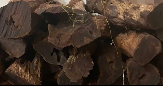 Trước đây, loại gỗ này chỉ được dùng làm khung cửa, trụ mỏ hoặc đồ nội thất bình dân. Ảnh: SGGP