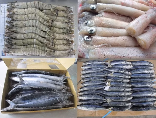 Hải sản đông lạnh giảm giá có thể được nhiều người lựa chọn. Nhưng hải sản đông lạnh giảm giá có thể đã để quá lâu, phần thịt không còn chắc. Ảnh: Haisandungha