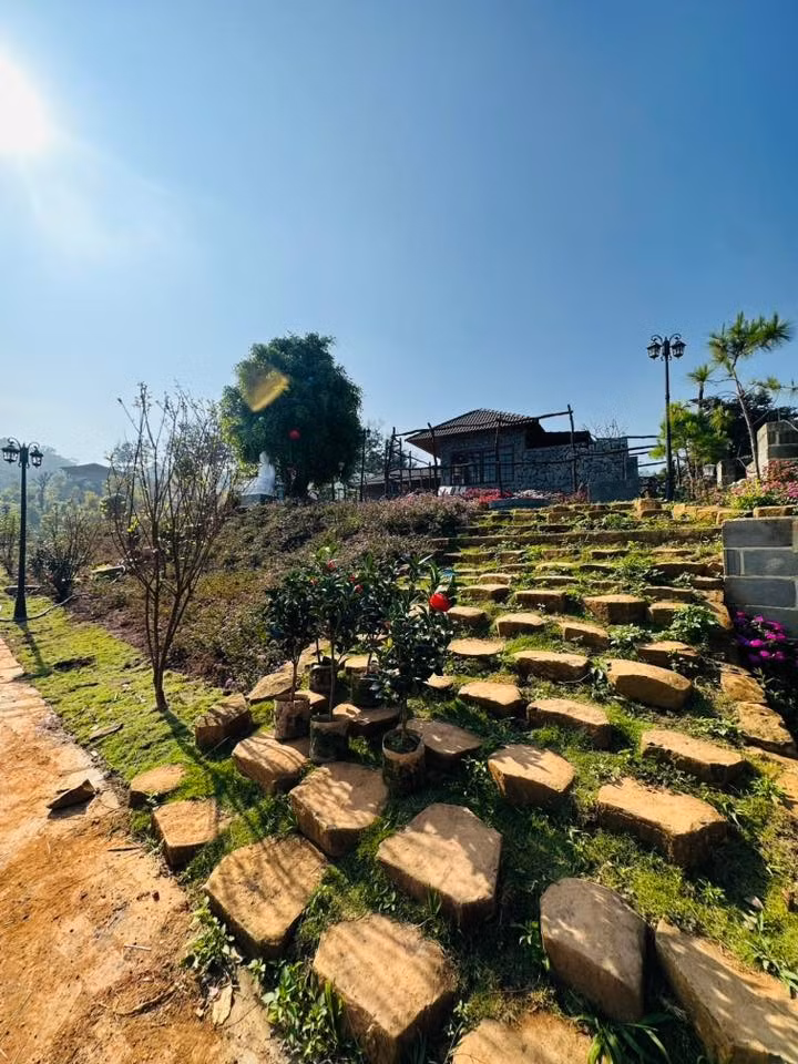 Các triền đồi ngập hoa và cây cảnh. Ảnh: FBNV