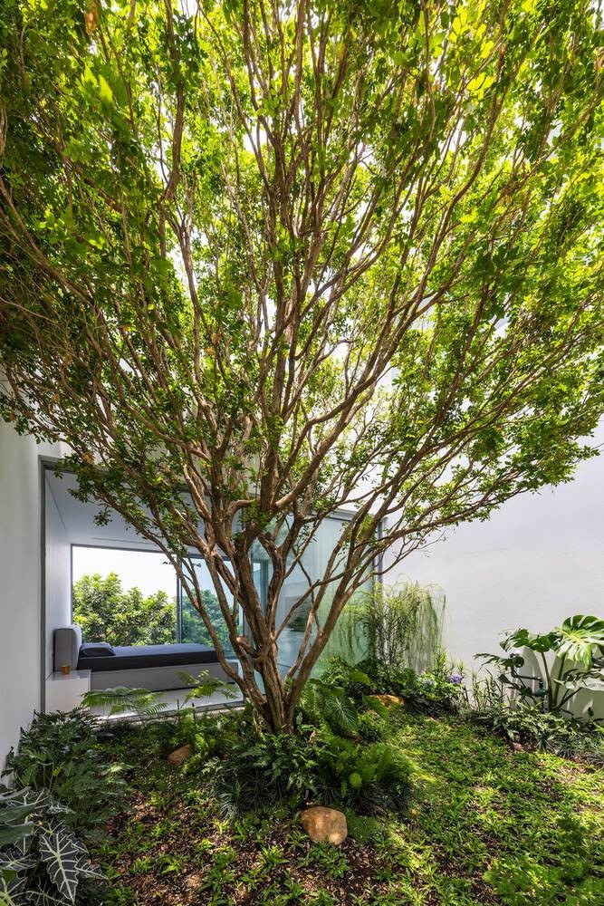 Các khối kiến ​​trúc giống như hành lang xóa nhòa ranh giới nội thất - ngoại thất, thấm đẫm thiên nhiên vào ngôi nhà để tạo ra bầu không khí trong lành, thư thái. Ảnh: Hirouyki Oki