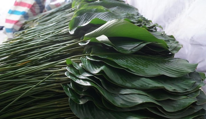 Hiện, mỗi bó 100 lá dong giá từ 60.000 - 250.000 đồng, tùy kích cỡ. Ảnh: Daidoanket