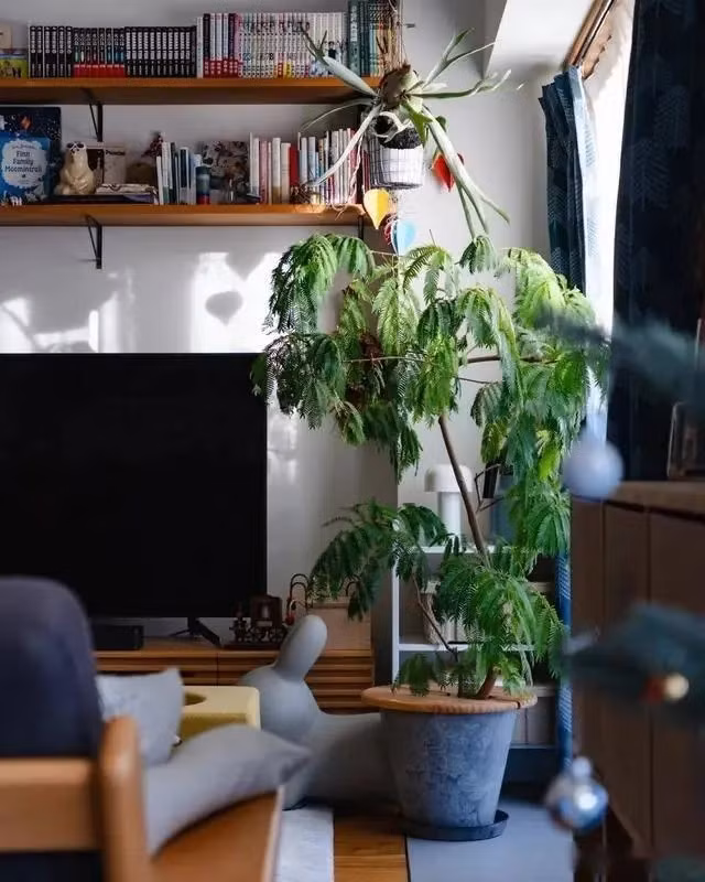 Do chiều cao trần nhà ở Nhật Bản bị hạn chế nên nội thất Yami mua tương đối thấp để không tạo cảm giác chật chội và ngột ngạt. Ảnh: 6parkbbs