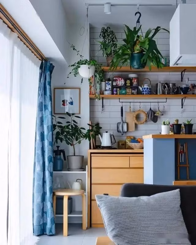 Sự kết hợp giữa màu gỗ tự nhiên, màu xanh nhạt và cây xanh lá cây tạo nên vẻ sạch sẽ và tươi mới. Ảnh: 6parkbbs