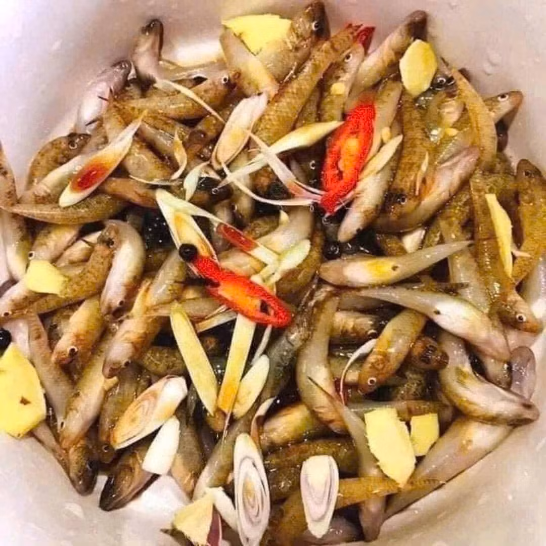 Ngoài ra, còn có cá bống kho nghệ, cá bống kho gừng, cá bống kho riềng, cá bống kho tương, cá bống chiên lá lốt, cá bống chiên tỏi ớt. Ảnh: Facebook