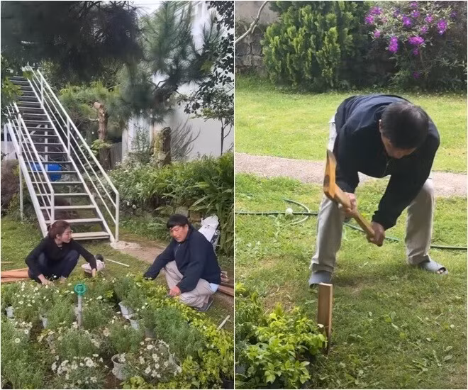 Á hậu cải tạo khu vườn cùng bố. Ảnh chụp màn hình