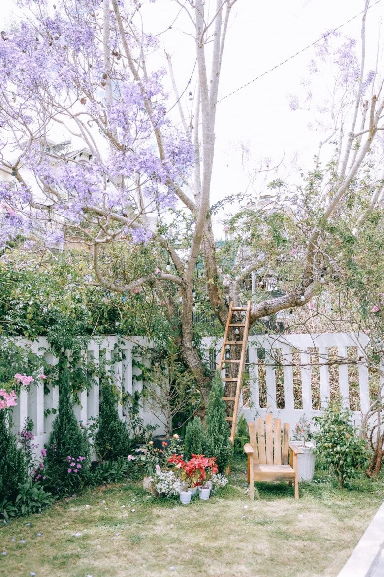 Dưới gốc cây có chiếc ghế gỗ, xung quanh là chậu hoa nhỏ tạo góc thư giãn đầy chất thơ. Ảnh: Facebook