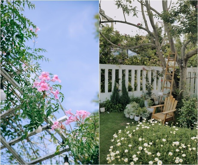 Bất kỳ góc nào trong khuôn viên cũng có màu xanh của thông, cỏ, cây bụi và hoa. Ảnh: Facebook