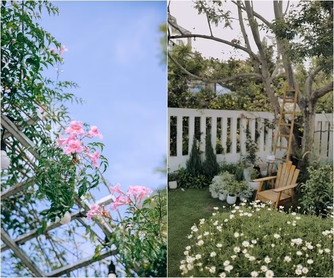 Bất kỳ góc nào trong khuôn viên cũng có màu xanh của thông, cỏ, cây bụi và hoa. Ảnh: Facebook