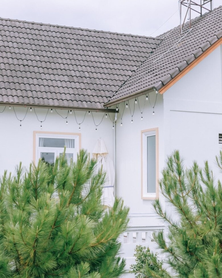 Căn biệt thự sơn trắng, mái ngói xám trầm, bao quanh là thông xanh. Ảnh: Facebook