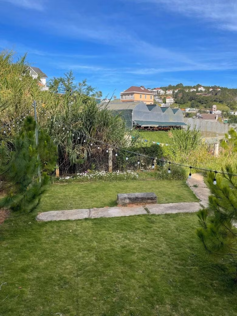 Nhìn từ trên cao, sân vườn được chia thành nhiều tầng bằng tường đá, bao quanh là hàng thông thẳng tắp. Ảnh: Facebook