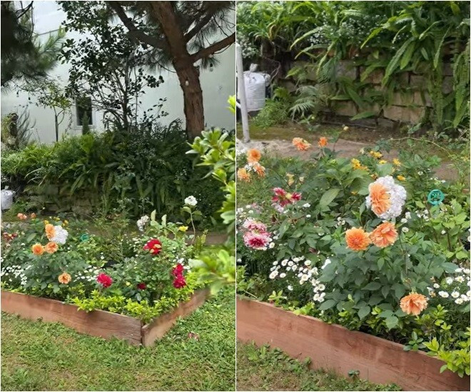 Ô hoa xinh xắn đủ sắc màu do Á hậu Quỳnh Châu và bố cùng làm. Ảnh: Facebook