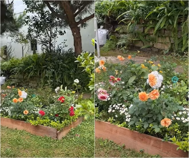 Ô hoa xinh xắn đủ sắc màu do Á hậu Quỳnh Châu và bố cùng làm. Ảnh: Facebook