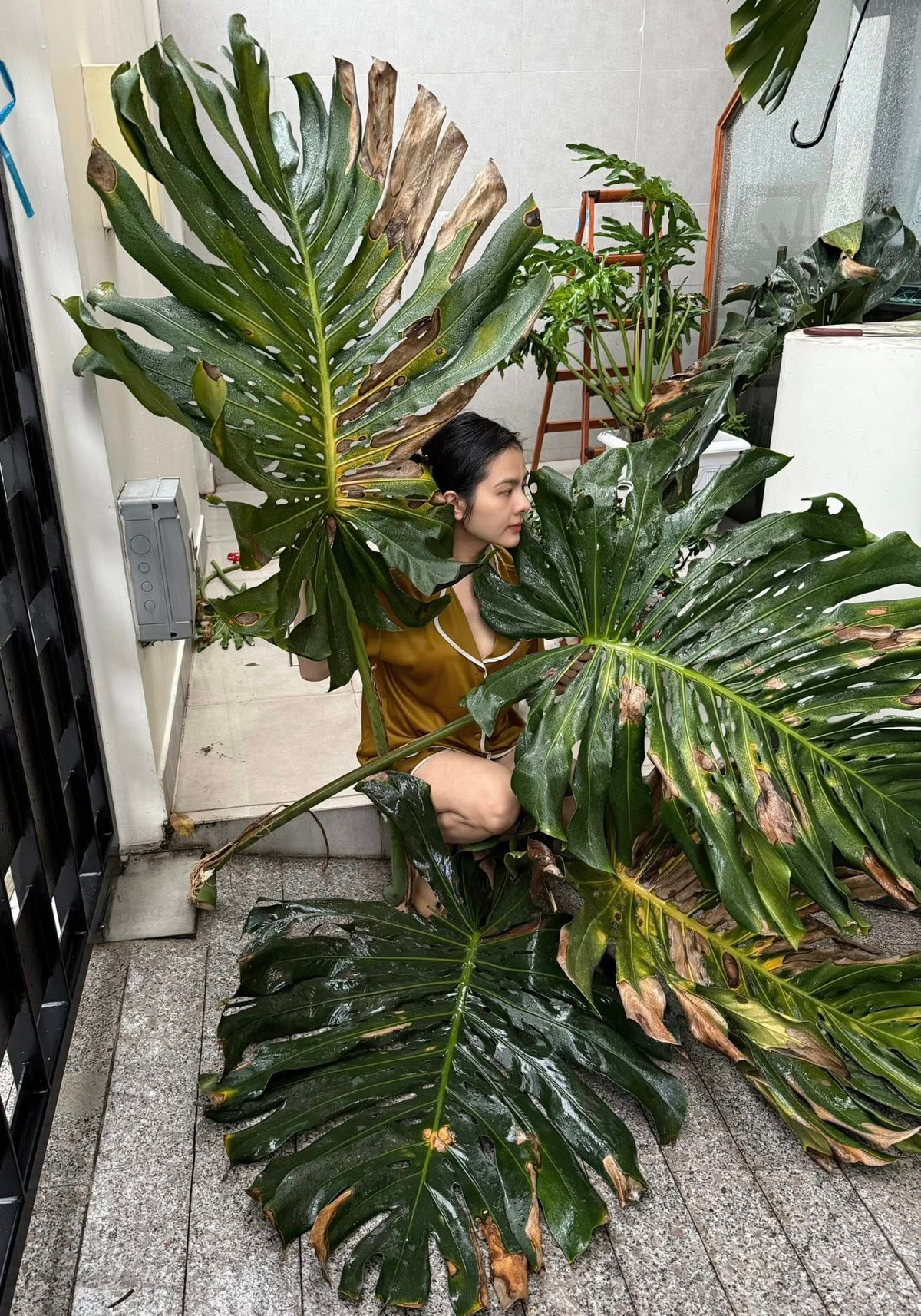 Mới đây, Vân Trang vừa chia sẻ khoảnh khắc thường nhật trong căn biệt thự rộng hơn 1.000m2 tại TP HCM. Nữ diễn viên diện đồ giản dị, lọt thỏm giữa tán lá xanh rì. Ảnh: FB Vân Trang