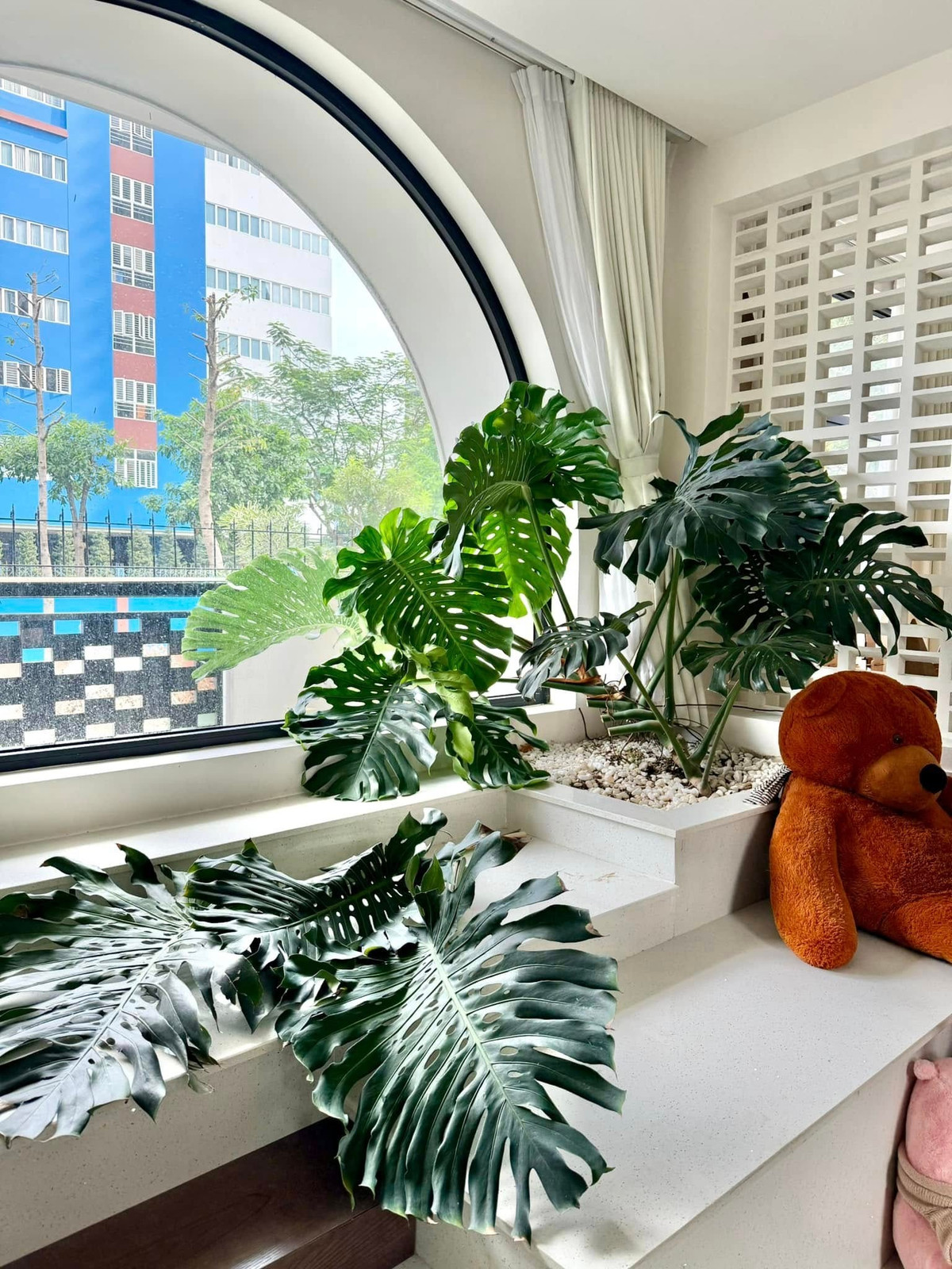 Không chỉ bên ngoài, Vân Trang còn trang trí trầu bà lá xẻ khắp bên trong biệt thự. Ảnh: FB Vân Trang