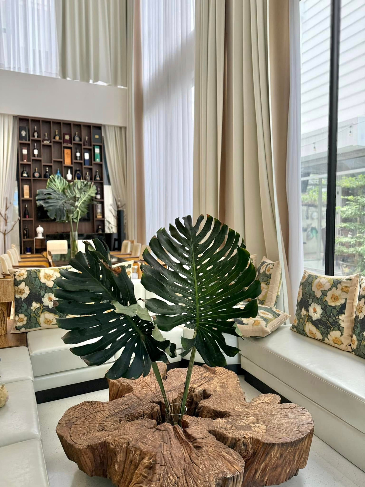 Trầu bà lá xẻ mang ý nghĩa phong thủy tích cực: hút tài lộc, xua đuổi tà khí và giúp thanh lọc không khí. Ảnh: FB Vân Trang