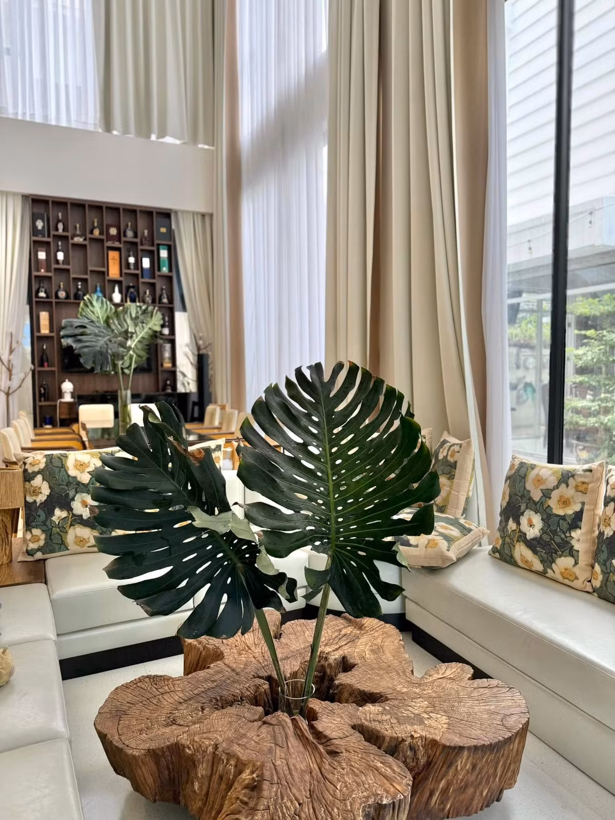 Trầu bà lá xẻ mang ý nghĩa phong thủy tích cực: hút tài lộc, xua đuổi tà khí và giúp thanh lọc không khí. Ảnh: FB Vân Trang