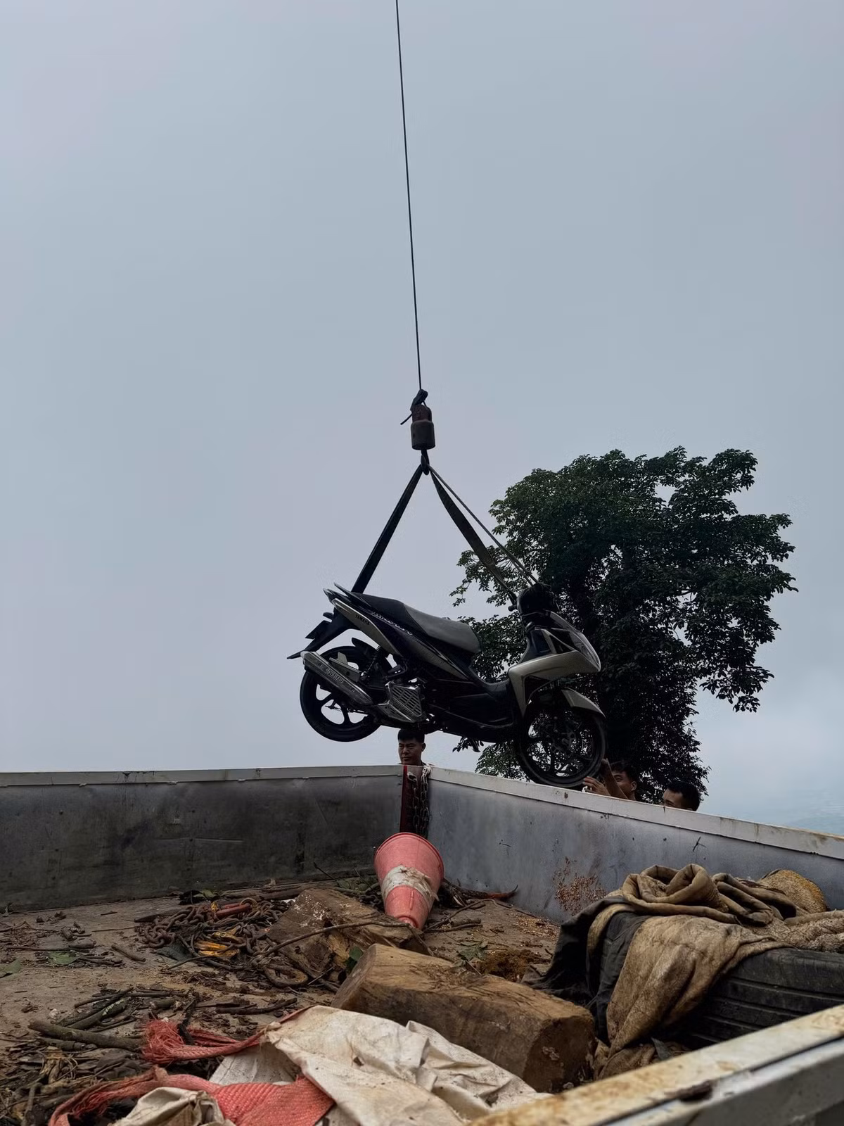 Phương tiện của nạn nhân.