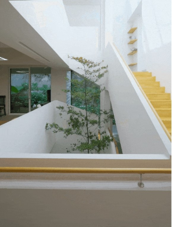 Để tránh cảm giác tối tăm thường thấy ở các ngôi nhà dựa vào núi, Tôn thiết kế hai giếng trời: một ở trung tâm nhà và một cầu thang xoắn ốc cao 3 tầng. Ảnh: Toutiao