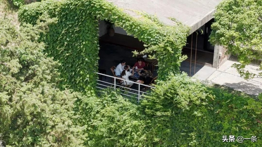 Tầng trệt là không gian dành cho bố mẹ Tôn, với phòng khách, phòng ăn, nhà bếp, xưởng mộc ở tầng hầm. Ảnh: Toutiao