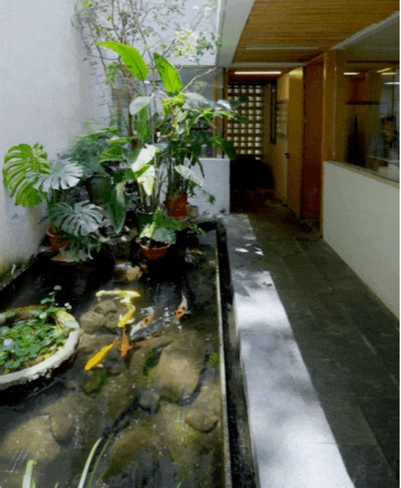 Mỗi không gian trong nhà đều được thiết kế để đáp ứng nhu cầu riêng của từng thành viên. Ảnh: Toutiao